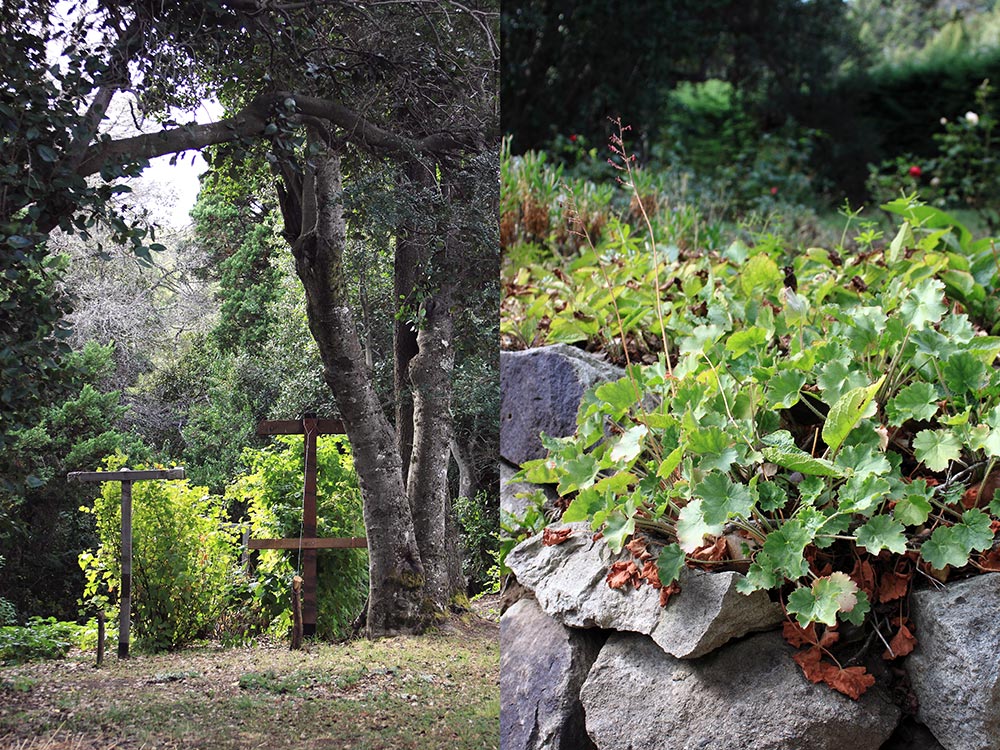 Huerto