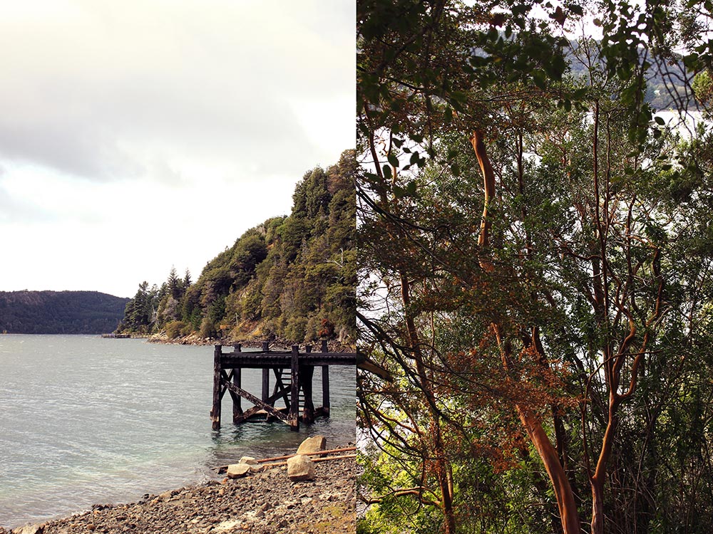 Muelle